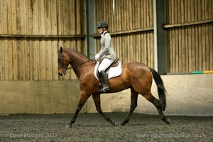 Isis Dressage Crown Farm Show 29th April 2012